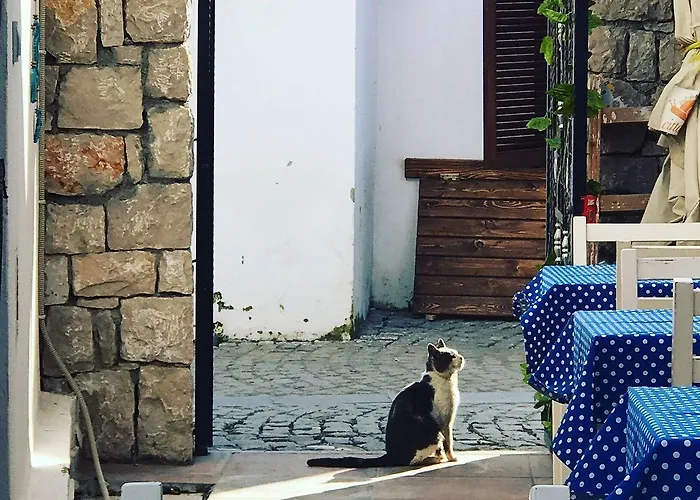 Mavi Ege Butik * Siğacık